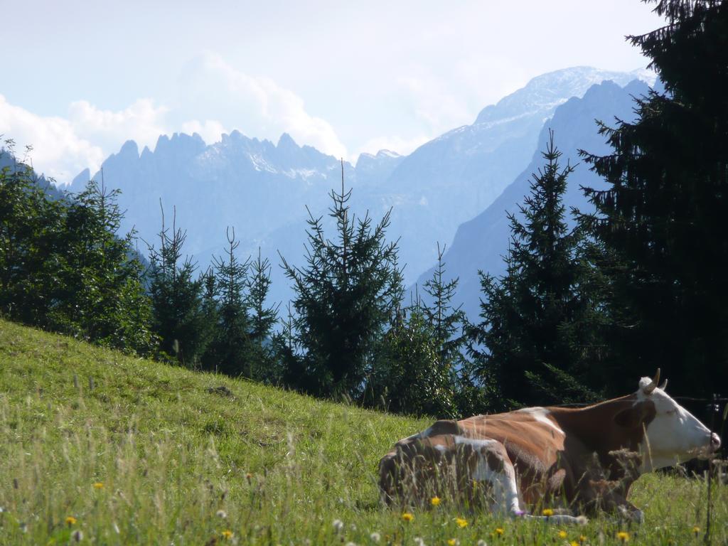 Ferienwohnung Bluntaumuehle Golling an der Salzach Cameră foto