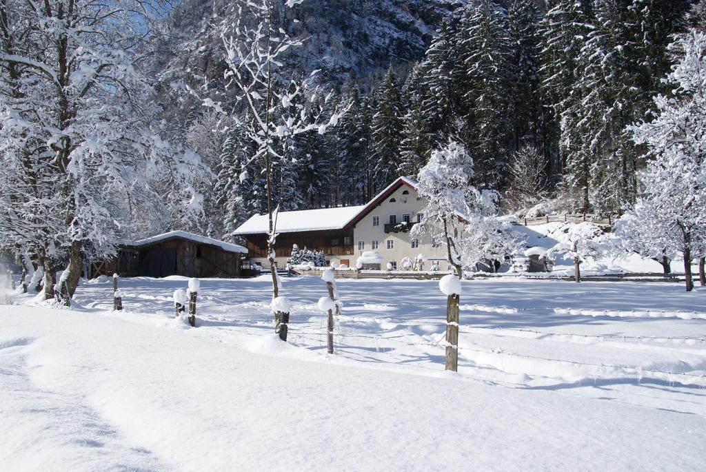 Ferienwohnung Bluntaumuehle Golling an der Salzach Cameră foto