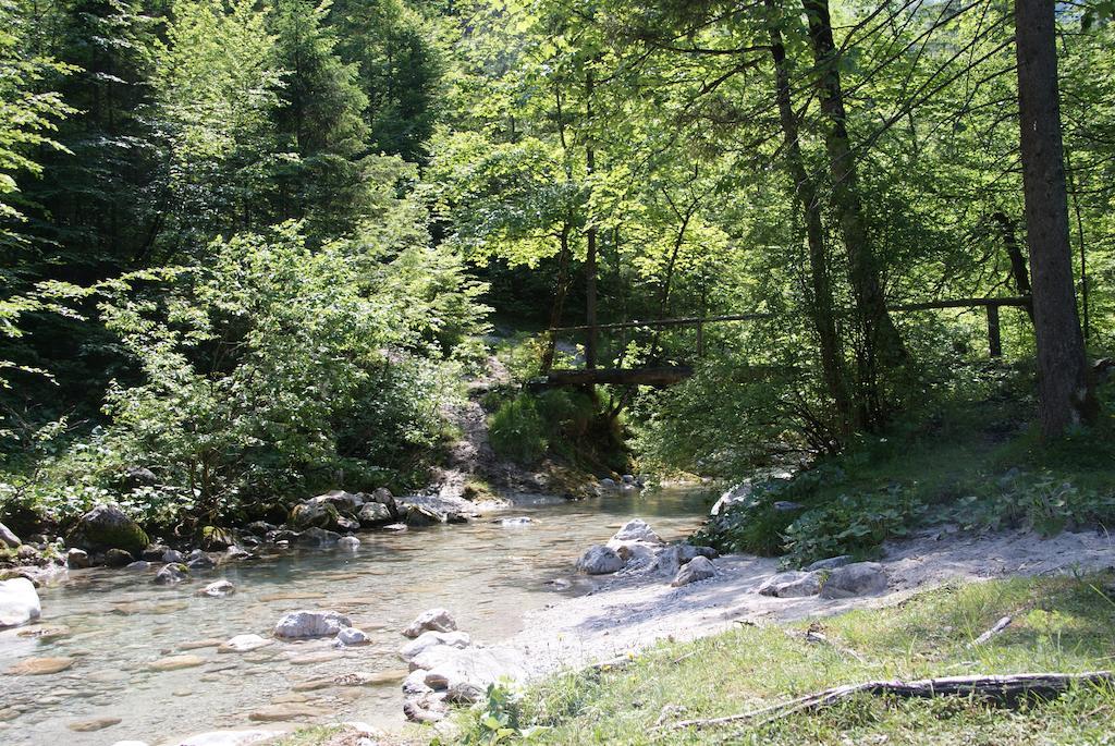 Ferienwohnung Bluntaumuehle Golling an der Salzach Cameră foto