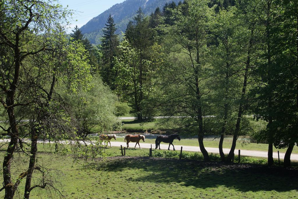 Ferienwohnung Bluntaumuehle Golling an der Salzach Cameră foto