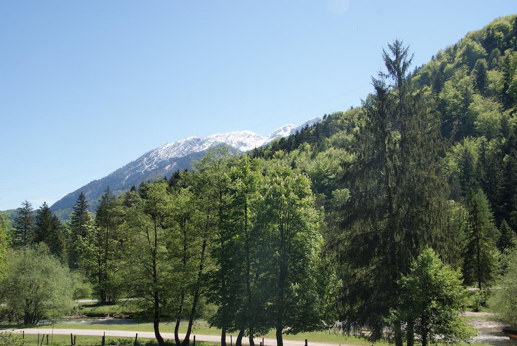 Ferienwohnung Bluntaumuehle Golling an der Salzach Cameră foto