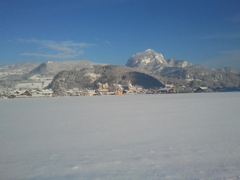 Ferienwohnung Bluntaumuehle Golling an der Salzach Cameră foto