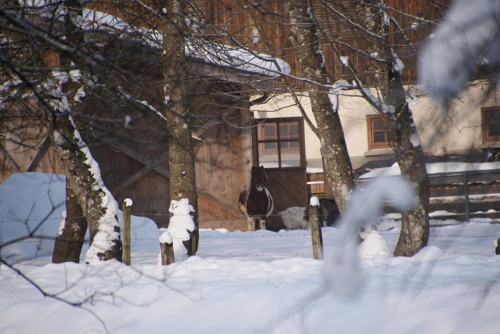 Ferienwohnung Bluntaumuehle Golling an der Salzach Cameră foto