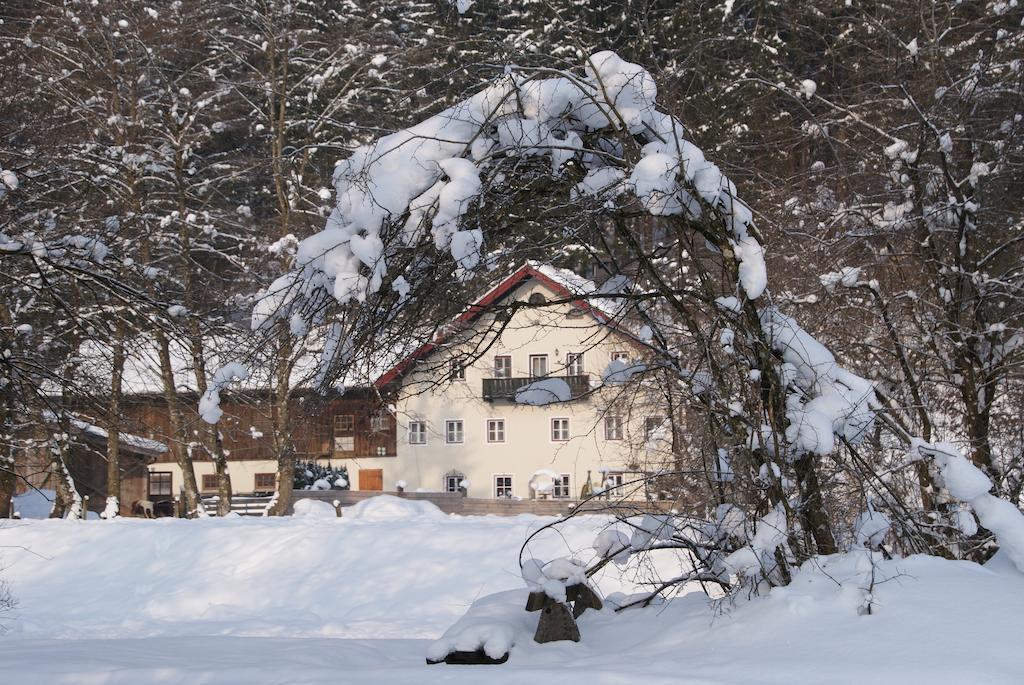 Ferienwohnung Bluntaumuehle Golling an der Salzach Cameră foto